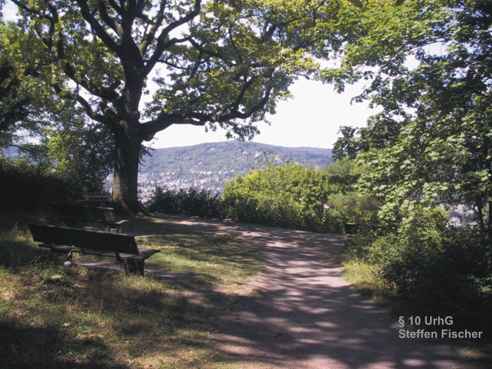 Aussichtspunkt Schillereiche